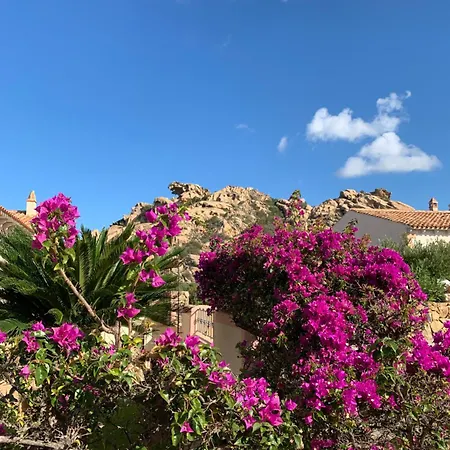Villa Borgo Orso -palau R3303 Proiettore