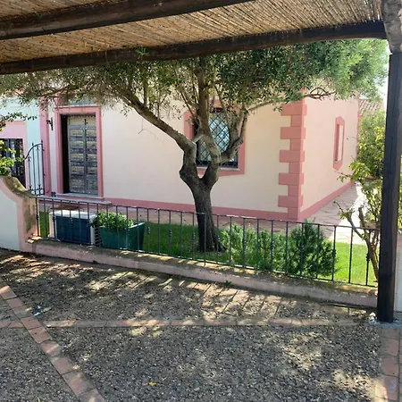 Borgo Orso -palau R3303 * Proiettore